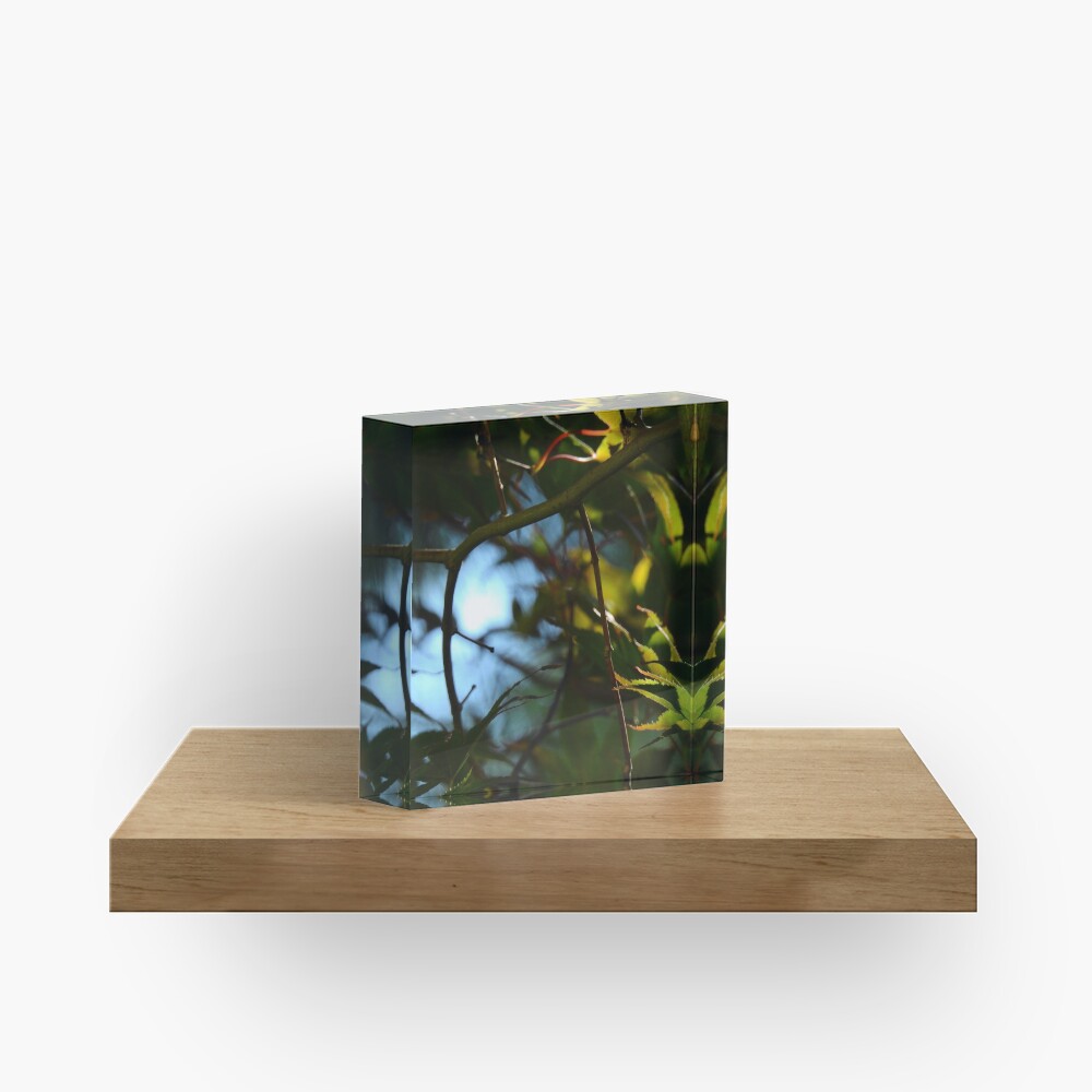 The Serene Wood Acrylic Block