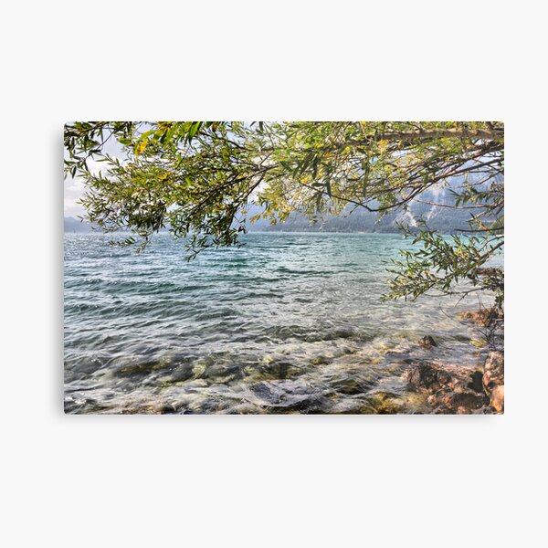 Lake Water Metal Print