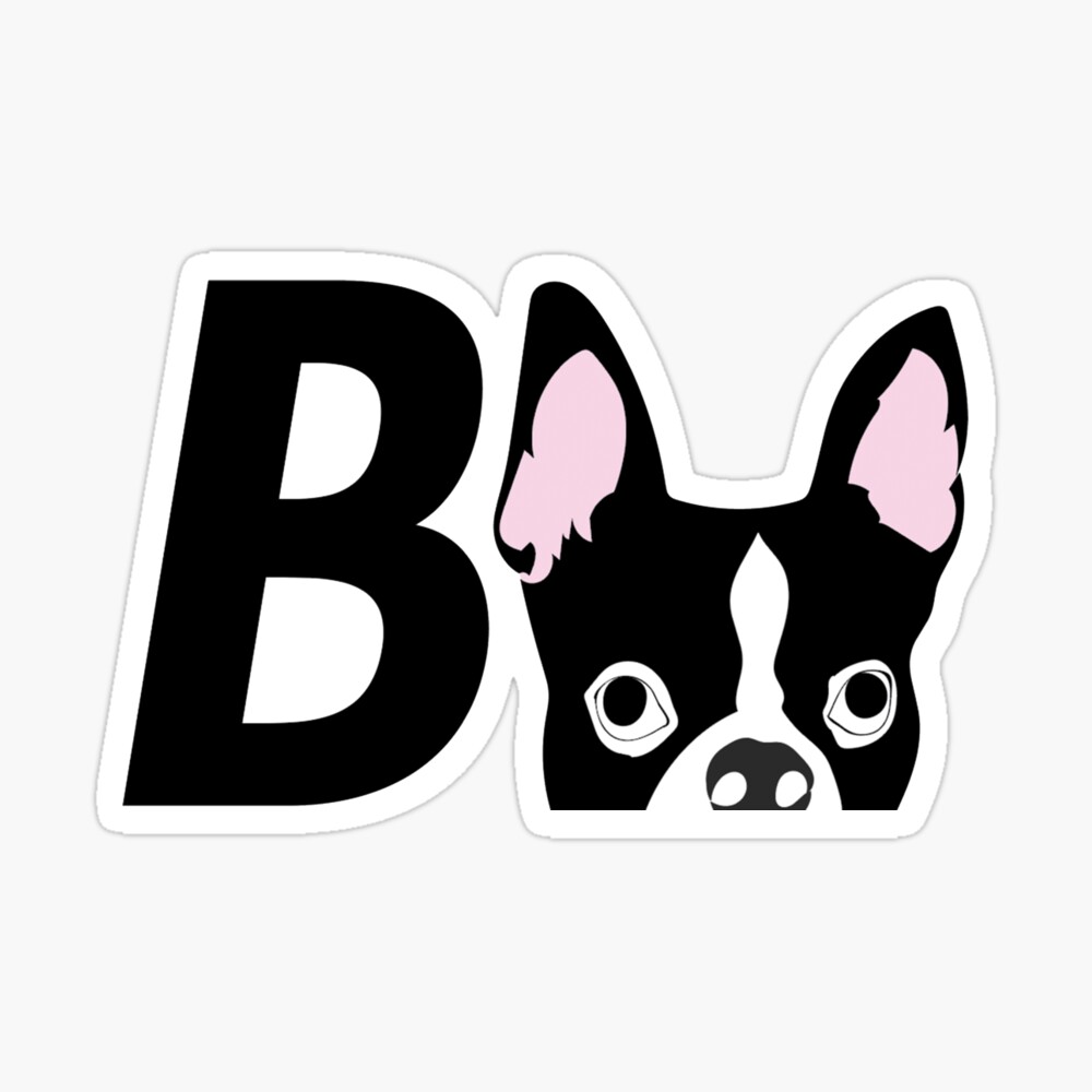 USA, Massachusetts, Boston, Boston University, procession Poster 【オンライン