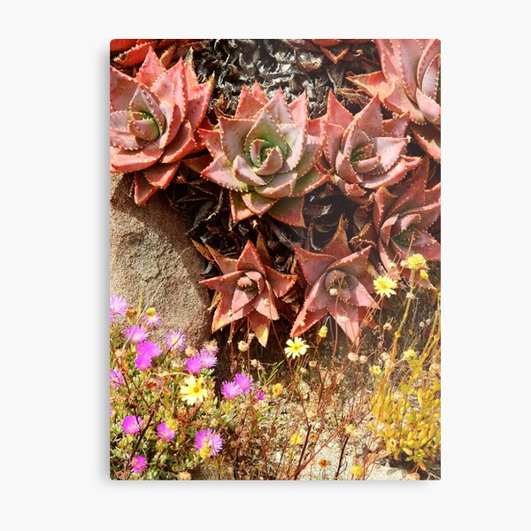 In the Botanical Garden Metal Print