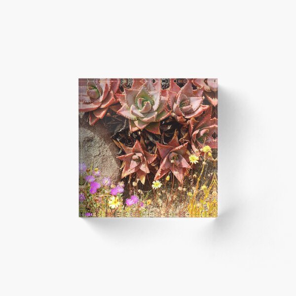 In the Botanical Garden Acrylic Block