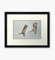 Cat attack! Framed Print