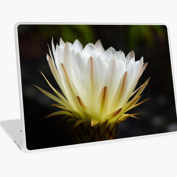 Illuminated White Petals Laptop Skin