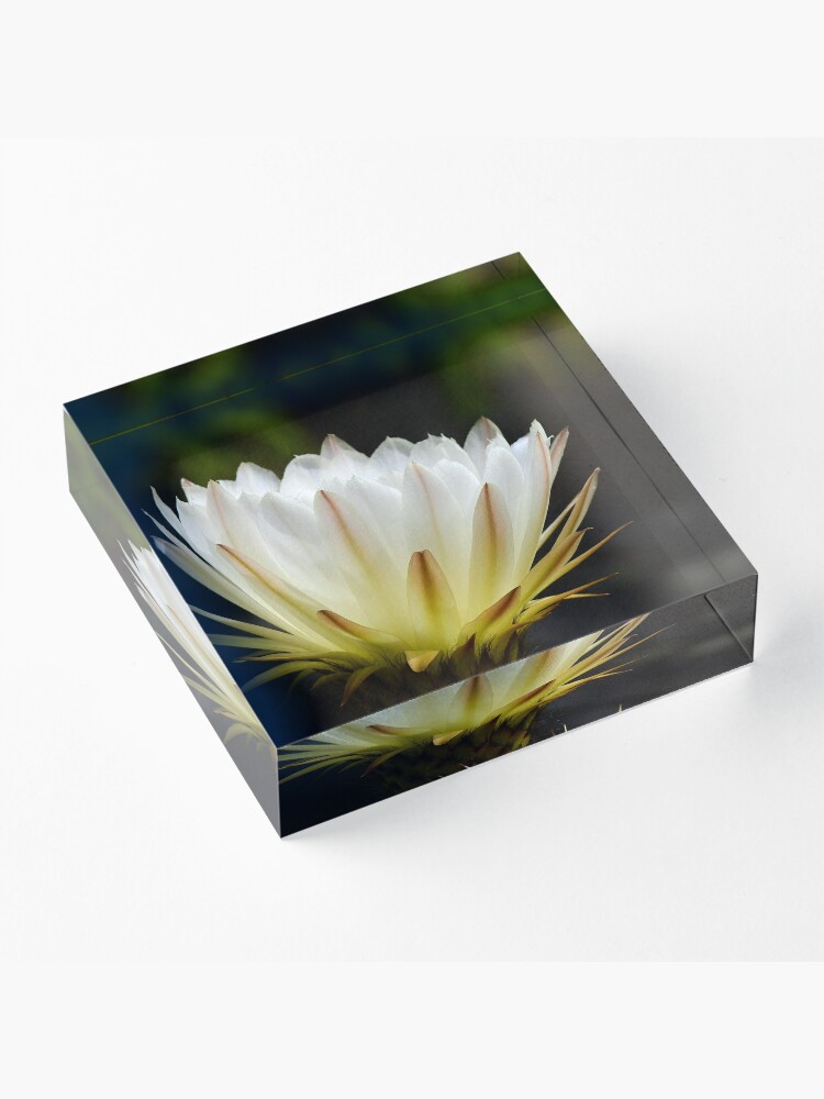 Alternate view of Illuminated White Petals Acrylic Block