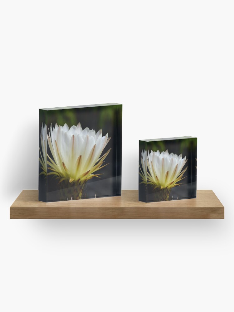 Alternate view of Illuminated White Petals Acrylic Block