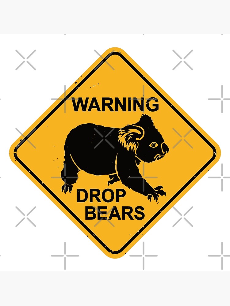 drop bear - Google Search  Funny koala, Koala, Drop bear