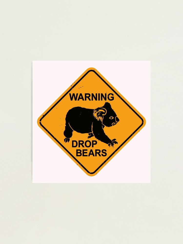 Beware the drop bear - Photofocus