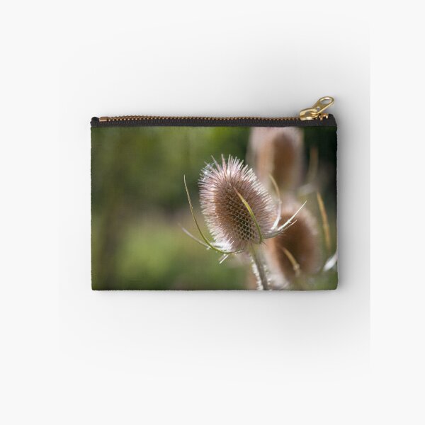 Item preview, Wild prickles designed and sold by photosbygemmad.