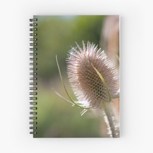 Item preview, Wild prickles designed and sold by photosbygemmad.