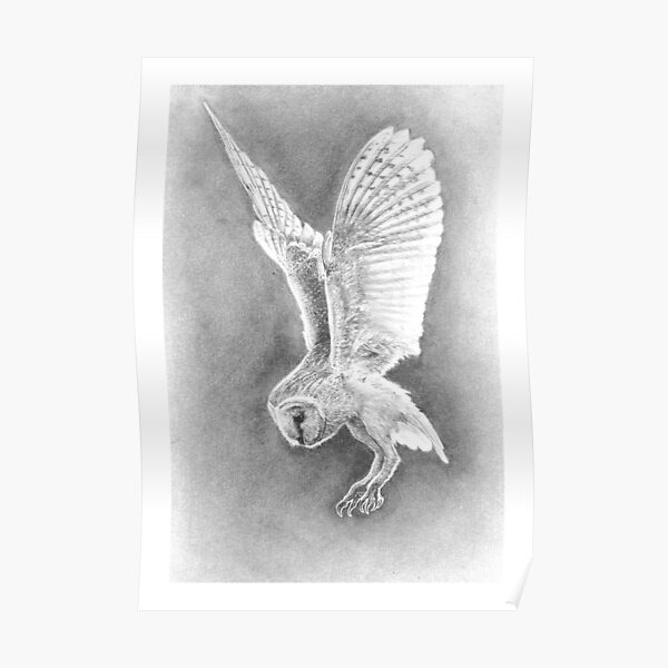 'The Prophet' - Barn Owl in Flight Poster