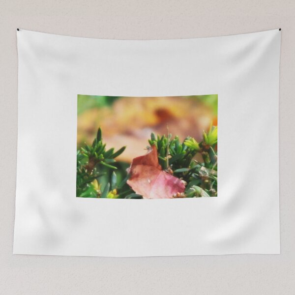 Item preview, Leaves Changing Colors designed and sold by Kikkipix.
