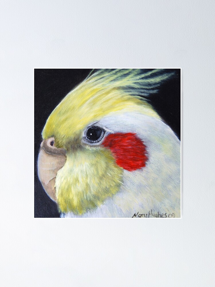 cockatiel painting