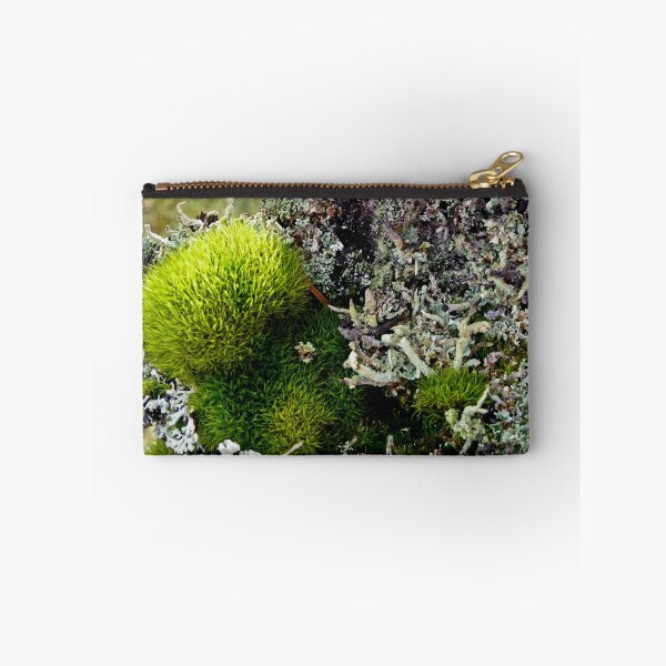 Item preview, A MINIATURE WORLD OF MOSS AND LICHEN! designed and sold by Elaine Bawden.
