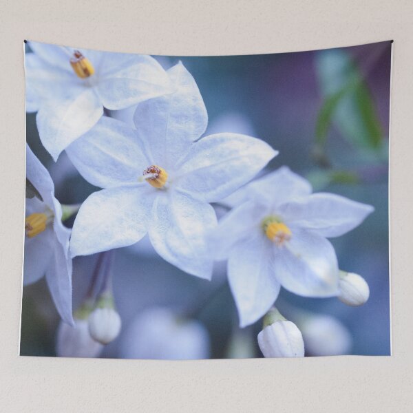 Item preview, Jasmine Nightshade Flowers #3 #floral #art  designed and sold by Anita's & Bella's Art.