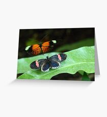 Traffic Greeting Card
