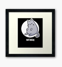 Funny Rescue Kitten / New Pet Cat Framed Print