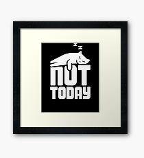Adopted Cat / Cute Kitten Adoption Framed Print