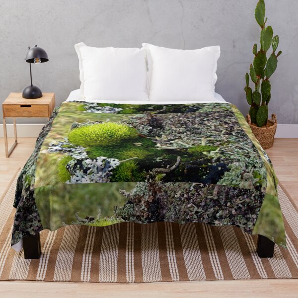 Item preview, A MINIATURE WORLD OF MOSS AND LICHEN! designed and sold by Elaine Bawden.