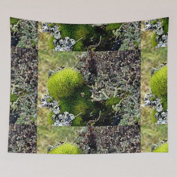 Item preview, A MINIATURE WORLD OF MOSS AND LICHEN! designed and sold by Elaine Bawden.