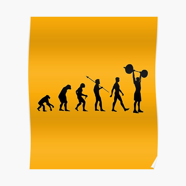 FUNNY EVOLUTION GLOSSY POSTER PICTURE PHOTO joke cool human man people lol 2037