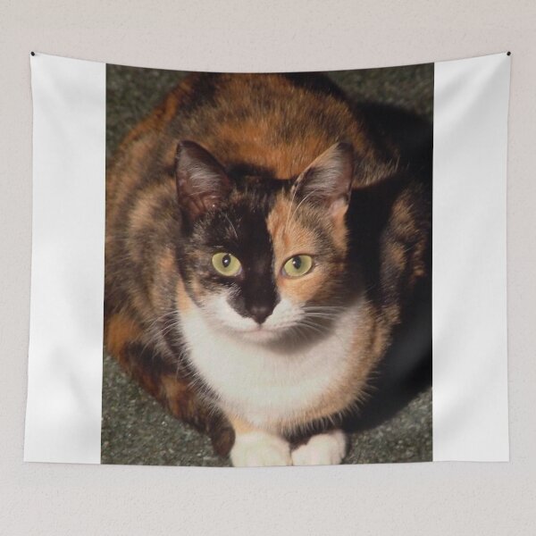 Artikelvorschau, Cinders the Calico Cat entworfen und verkauft von AnnDixon.