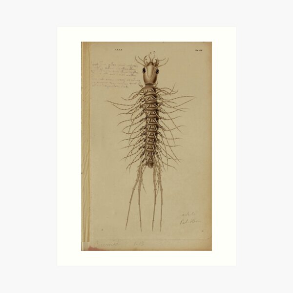 Retro Alien: Eldirerrr Art Print