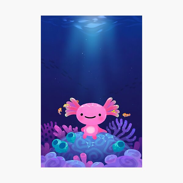 Coral axolotl Photographic Print
