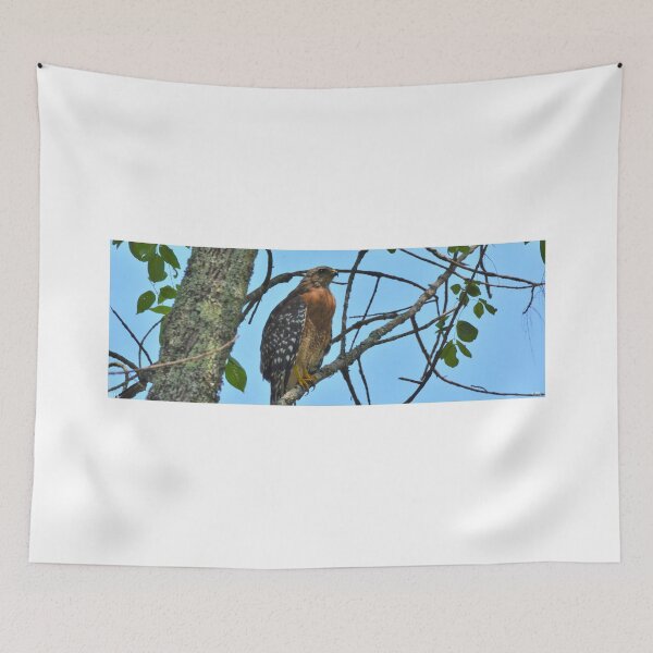 Item preview, Red Tailed Hawk Panorama designed and sold by LisaWootenPhoto.