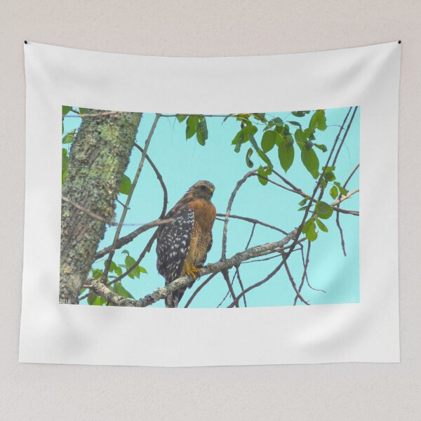 Item preview, Red Tailed Hawk designed and sold by LisaWootenPhoto.