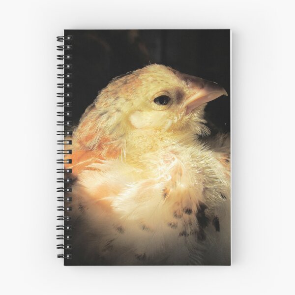 Item preview, salmon faverolle pullet contemplates designed and sold by sylvancaps.