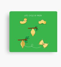 Life cycle of pasta Canvas Print