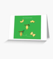 Life cycle of pasta Greeting Card