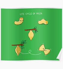 Life cycle of pasta Poster