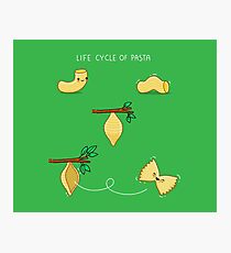 Life cycle of pasta Photographic Print