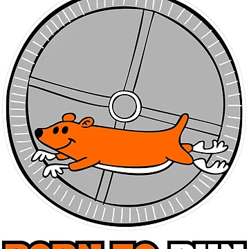 Artwork thumbnail, BORN TO RUN by MAXFUNK