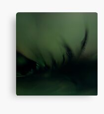 Verdure Canvas Print