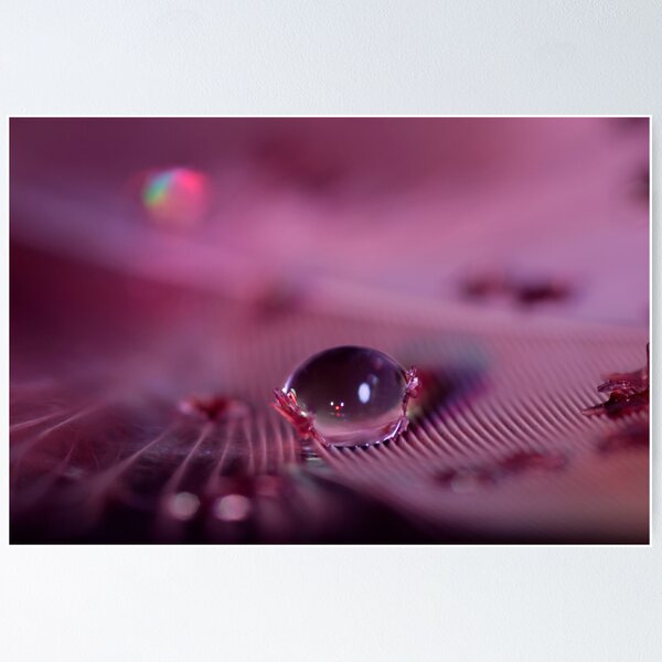 Item preview, Starlet designed and sold by Laura Towersey.