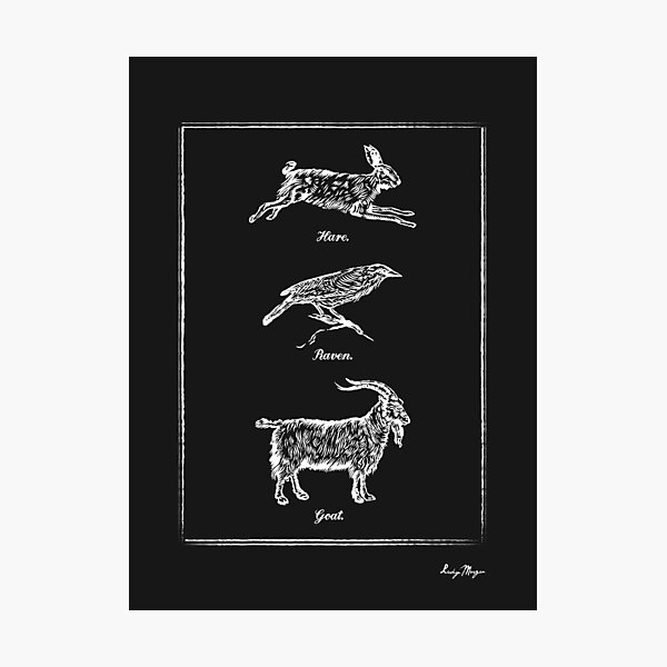 Hare, Raven, Goat Photographic Print