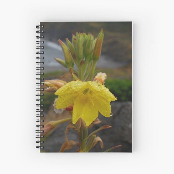 Item preview, Evening Primrose designed and sold by Bryan Spellman.