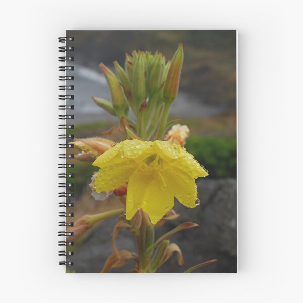 Item preview, Evening Primrose designed and sold by Bryan Spellman.