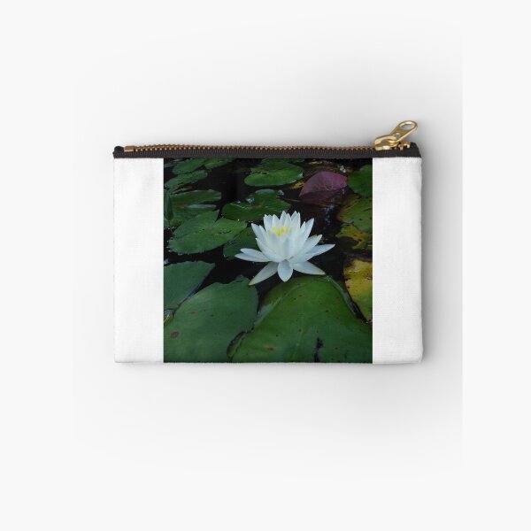 Item preview, Luminous designed and sold by May Lattanzio.