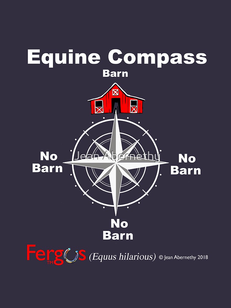 Fergus the Horse: Equine Compass (white) by JeanAbernethy