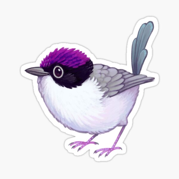 Pride Birds: Purple-Crowned Fairywren Sticker