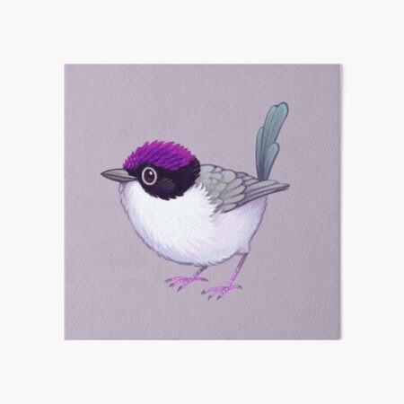 Pride Birds: Purple-Crowned Fairywren Art Board Print