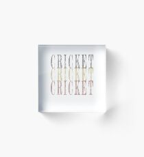 Retro Cricket design Acrylic Block