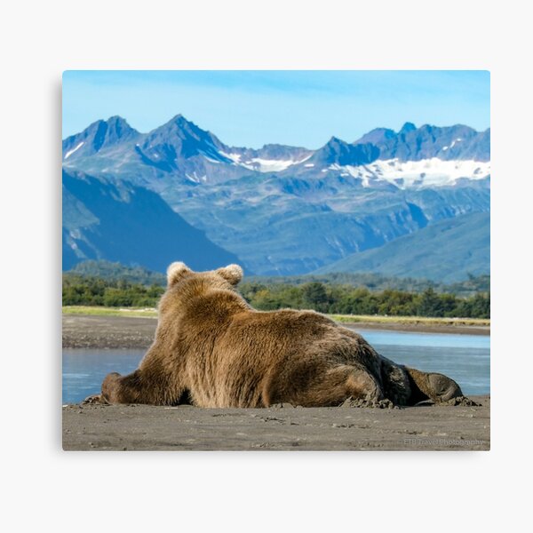 Resting Bear Cub Canvas Print