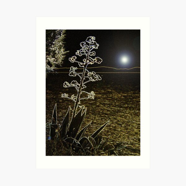 FULL MOON FANTASY Art Print