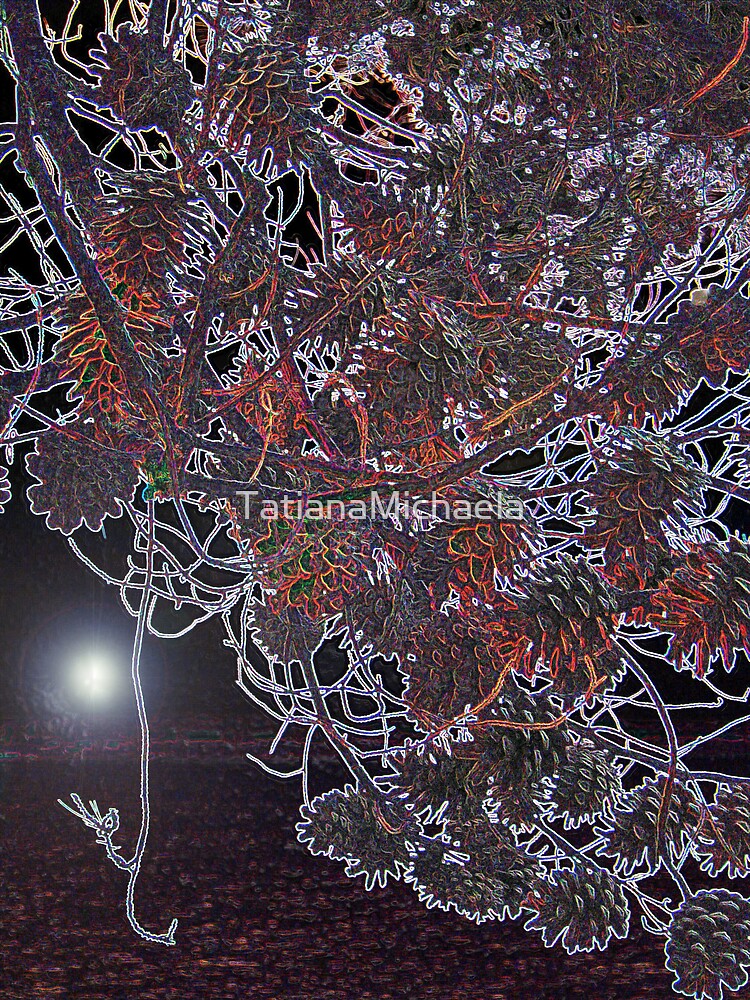 Thumbnail 3 of 3, Photographic Print, WHAT ABOUT IS PINE TREE DREAMING designed and sold by TatianaMichaela.