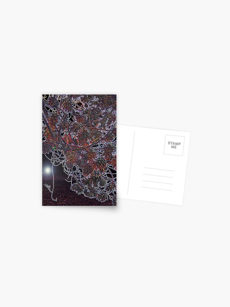 Thumbnail 1 of 2, Postcard, WHAT ABOUT IS PINE TREE DREAMING designed and sold by TatianaMichaela.