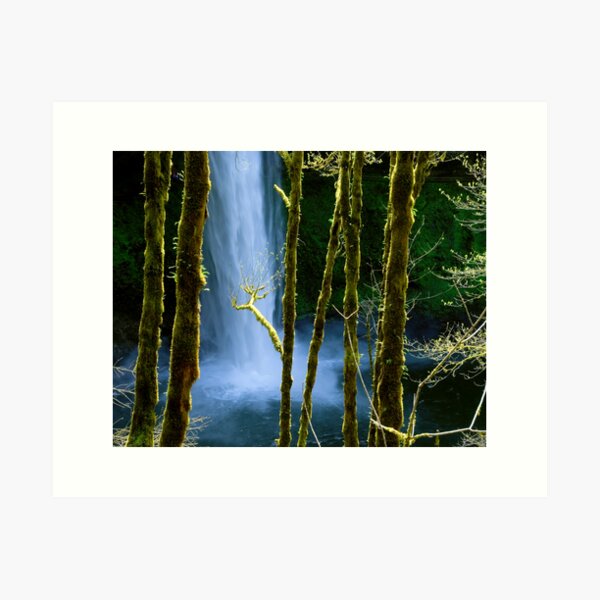 Item preview, Silver Creek Falls designed and sold by Zane Paxton.